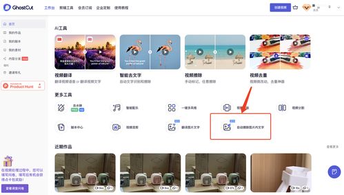 智能識(shí)別與圖像擦除 支持百種語言與API接口的綜合解決方案