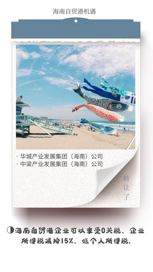海南自貿(mào)港文旅集團(tuán)與德國(guó)企業(yè)對(duì)比 稅收優(yōu)勢(shì)凸顯，文化藝術(shù)交流新機(jī)遇